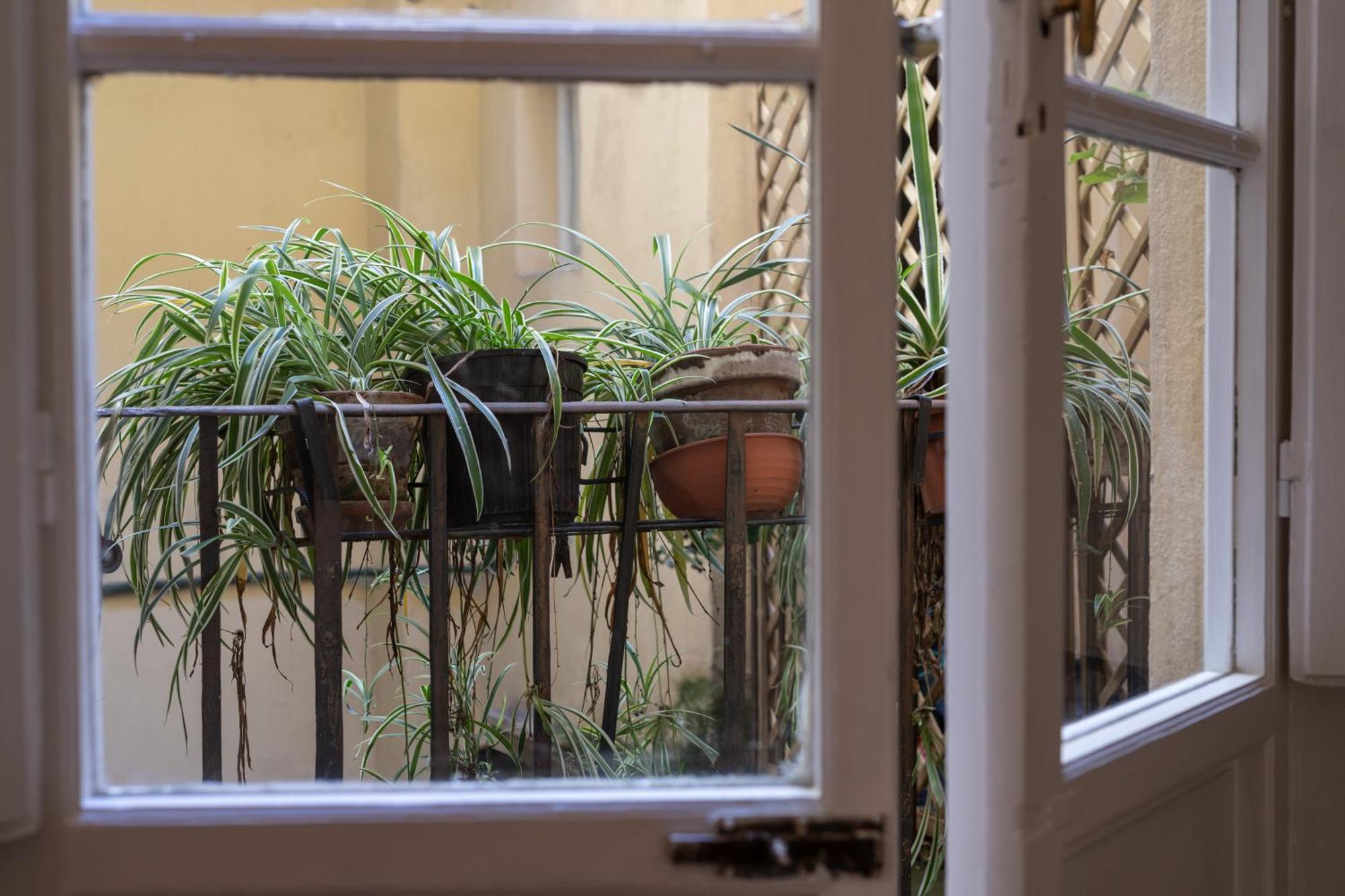 Sant'antonino Cozy Corner Apartment